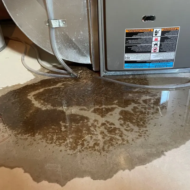 Pipe Burst and Leak Restoration in Whitinsville, MA